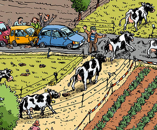 Wimmelbild Landwirtschaft